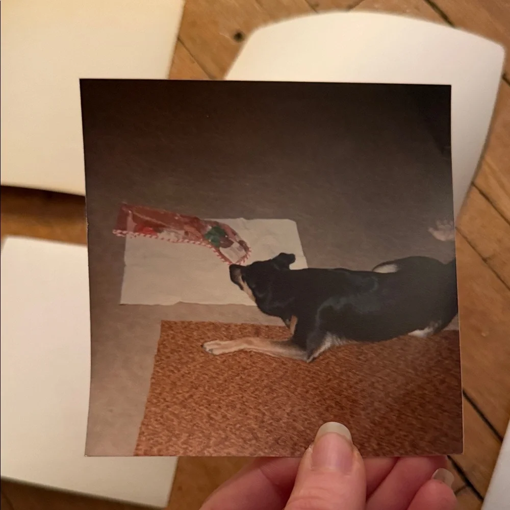 Vintage Photo Collection